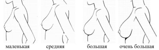 Диета для груди