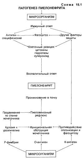 Понятие о этиологии, патогенезе, клинической картине болезни
