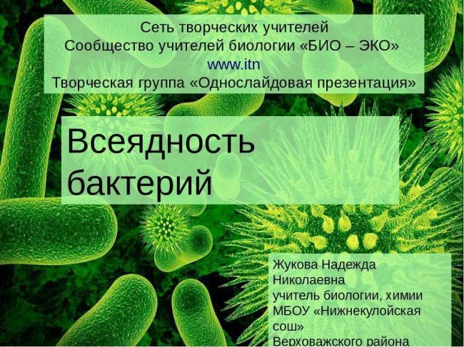 Особенности хемосинтеза бактерий