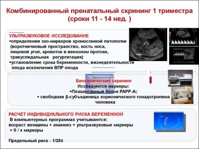 Скрининг первого триместра: расшифровка
