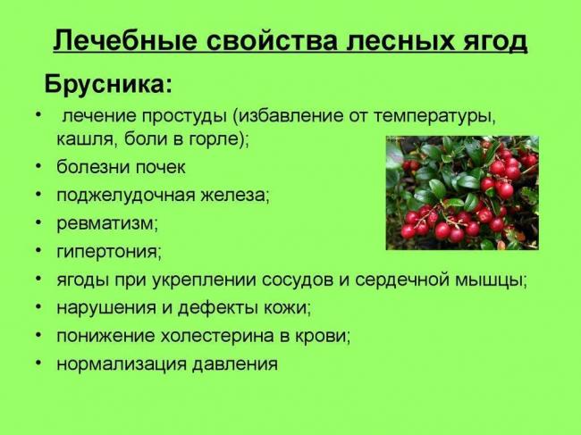 Чем полезна клюква для детей
