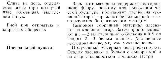 Многообразие методов определения бактерий для решения различных задач