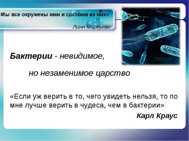 Роль бактерий в медицине