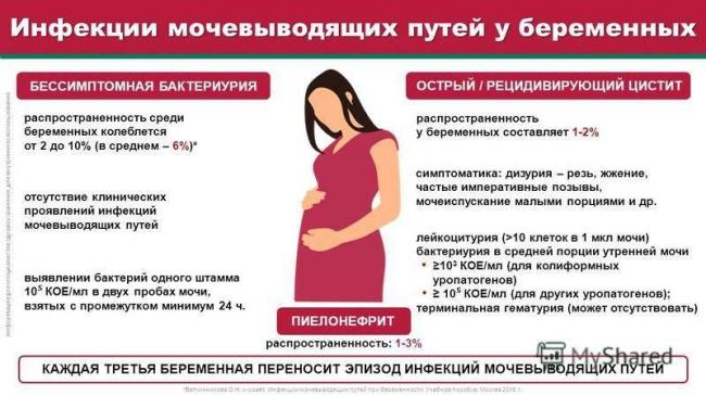 Анализ мочи на бакпосев: что показывает, расшифровка, как сдавать