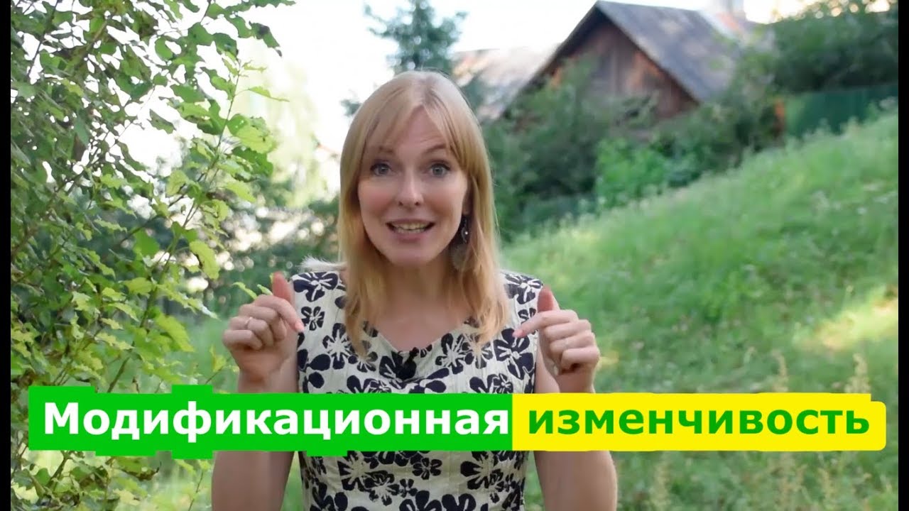 Наследственная изменчивость. комбинативная и мутационная изменчивость