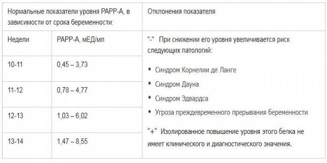 Скрининг 2 триместра (39 фото): сроки проведения второго узи при беременности, что это такое и что смотрят, нормы и расшифровка результатов