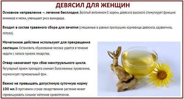 Как заваривать корень девясила от кашля