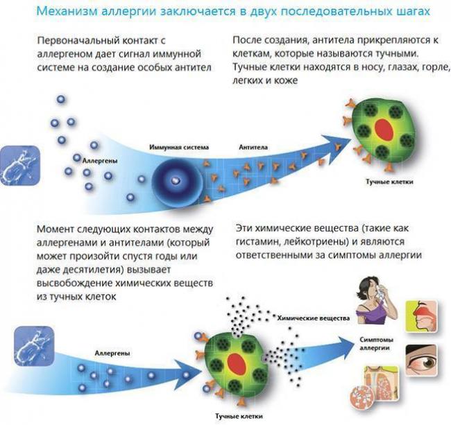 Аллергия на воду из-под крана