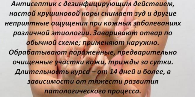 Кора крушины