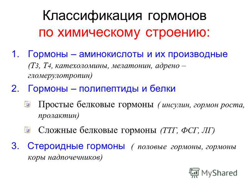 Гормон лептин повышен: как понизить уровень гормона