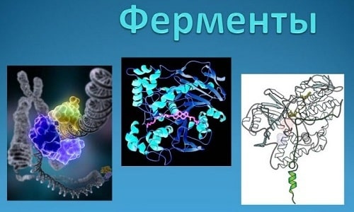 Трийодтиронин