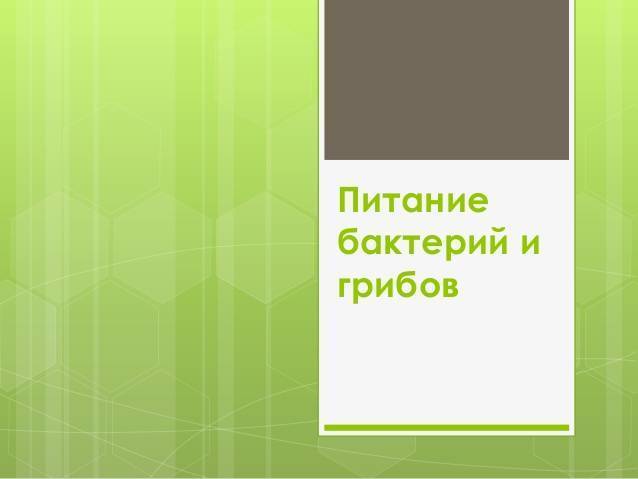 Бактерии-паразиты и их взаимодействие с окружающим миром