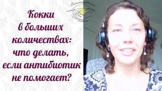 Стройное тело – залог успеха! доказано основными формами прогрессивных бактерий