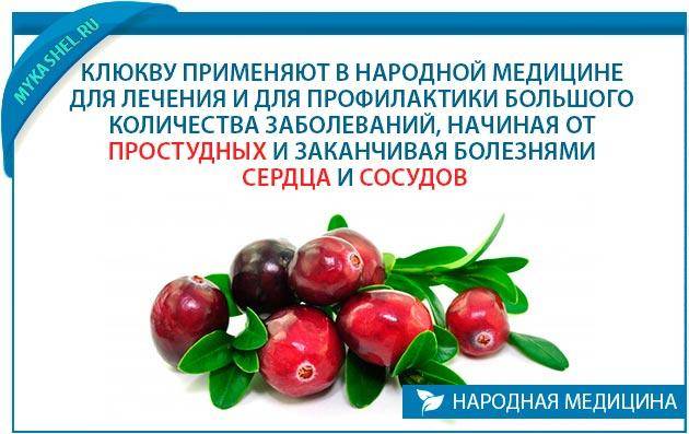 При простуде лучше клюква или брусника