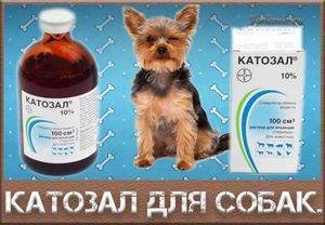Описание ветеринарного препарата Катозал