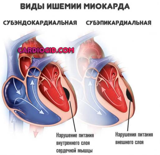 Беллоид – инструкция, применение, показания, противопоказания, действие, побочные эффекты, аналоги, дозировка, состав