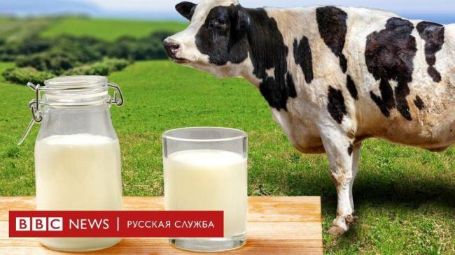 Микробиология молока и молочных продуктов