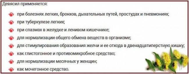 Как заварить корень девясила при кашле