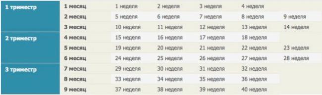 Скрининг первого триместра: расшифровка