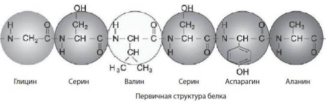 Некроз. причины, механизм развития, морфологические признаки. клинико-морфологические формы некроза.