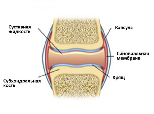 Пиаскледин 300 Piascledine 300