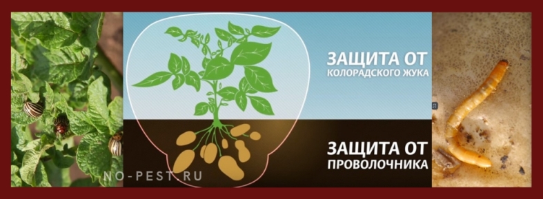 Битоксибациллин — инструкция по применению против гусениц, личинок насекомых и клещей