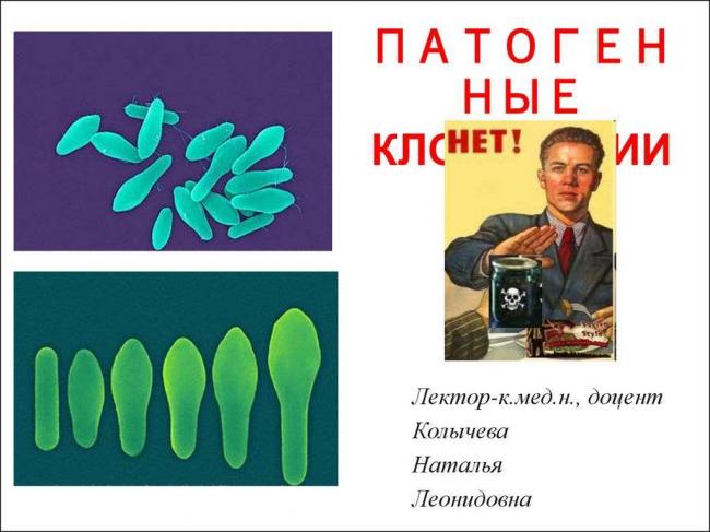 Питание