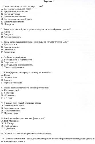Центральная нервная система. нервная система объединяет организм человека единое целое, регулирует и координирует функции всех органов и систем