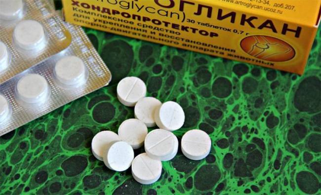 Артрогликан инструкция по применению для собак