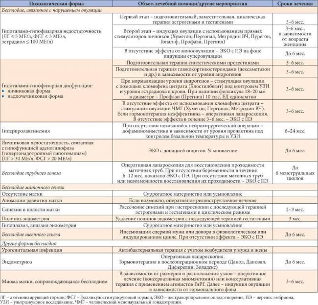 Бактерии в моче у женщин: что это значит, причины, проведение анализа, расшифровка, лечение