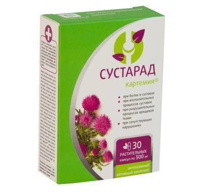 Честный обзор методов заработка в сетиСустарад Sustarad