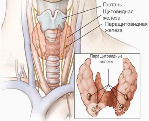 Синдром маккьюн-олбрайта - mccune–albright syndrome