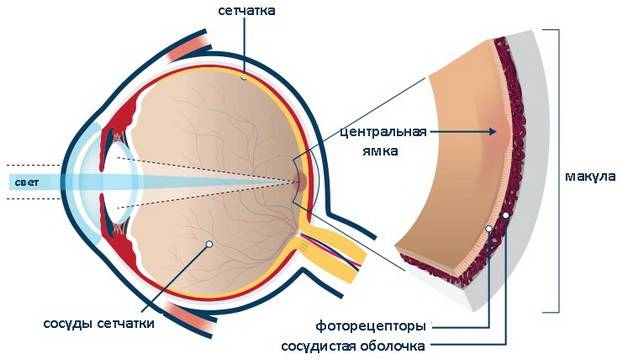 Искажение зрения – причины, диагностика, способы лечения