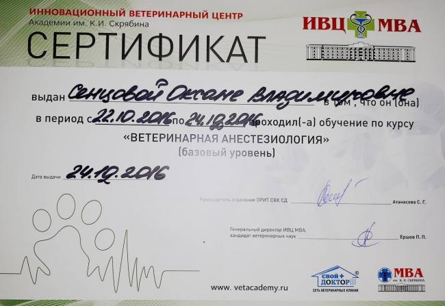 Миклофлора толстой кишки. роль микрофлоры толстой кишки в процессе пищеварения и формировании иммунологической реактивности организма.