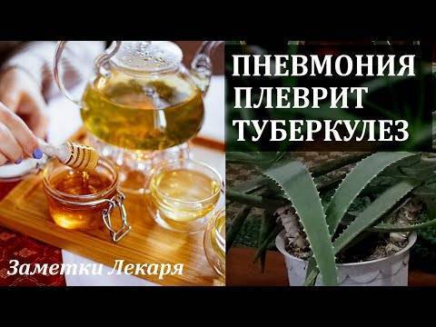Сочетание воспаления легких и туберкулеза