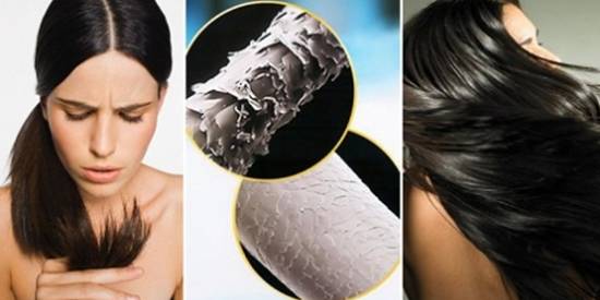 А вы уже сделали диагностику волос и кожи головы? узнайте прямо сейчас: как и кем проводится исследование