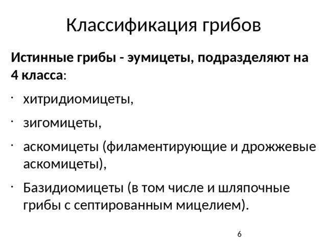 Грибы: классификация, общая характеристика, особенности строения, способы размножения