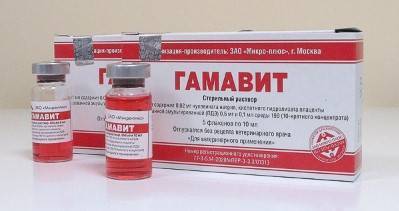 ВИТАМИННО-АМИНОКИСЛОТНЫЙ КОМПЛЕКС ВИТАМ инструкция по применению