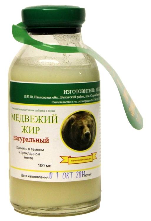 Какая польза от медвежьего жира. какой жир лучше: медвежий или барсучий. старинный рецепт топления от охотников