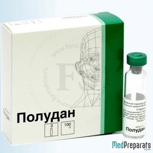 Полудан