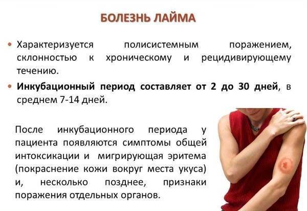 Красные пятна на руках: почему появились и причины шелушений и покраснений