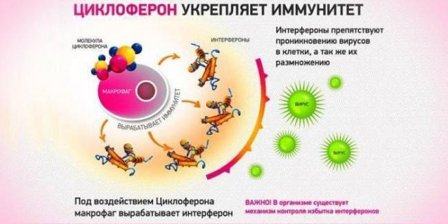 Циклоферон отзывы