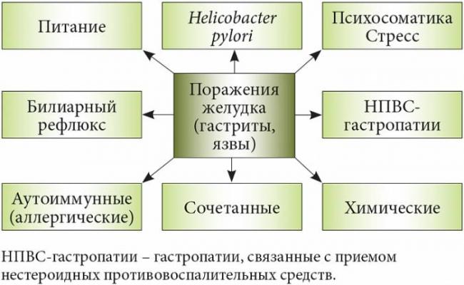 Какая бактерия вызывает язву желудка? хеликобактер пилори - возбудитель язвенной болезни