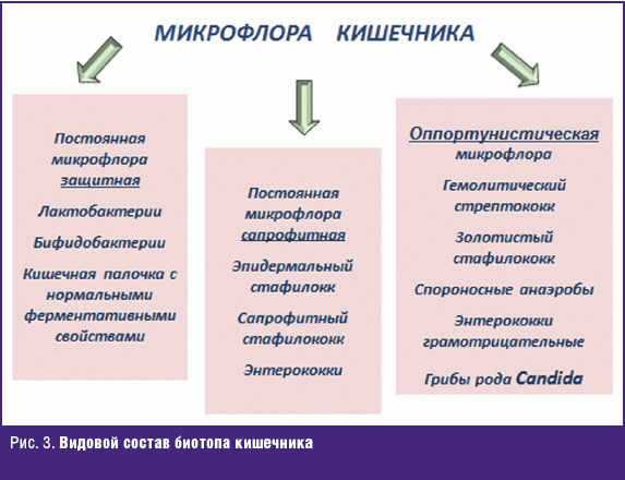 Плохие или хорошие: бактерии вокруг нас