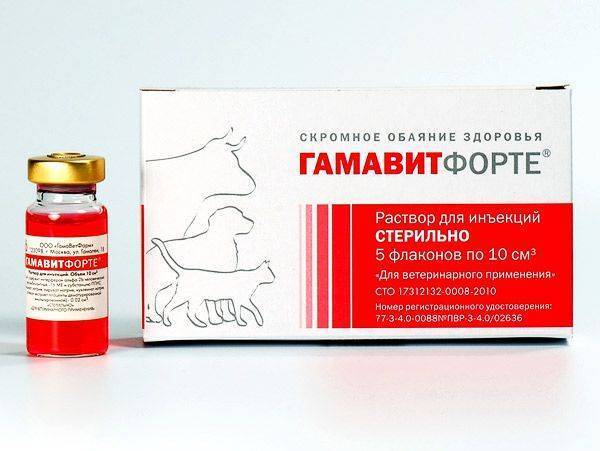 Гамавит отзывы ветеринара
