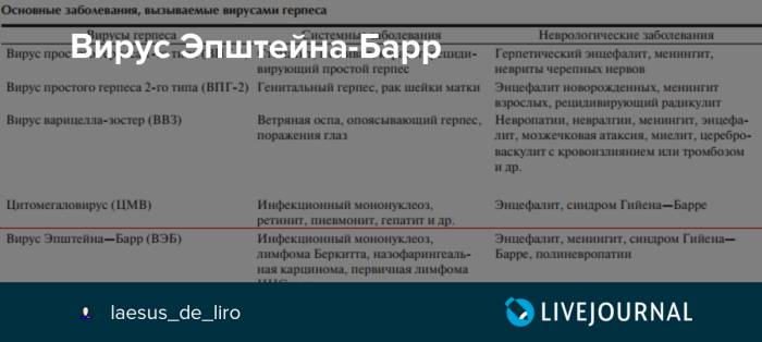Что такое вирус эпштейна-барра, как лечить симптомы у взрослых, ребенка гомеопатией, препаратами, народными средствами