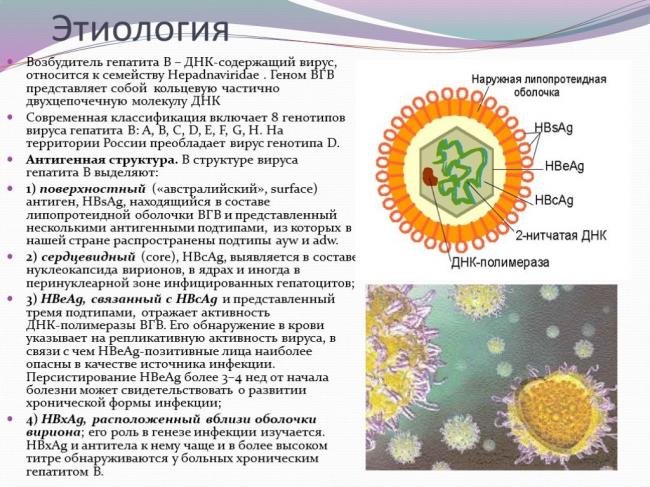 Гепатит d — симптомы, причины, диагностика и лечение гепатита д