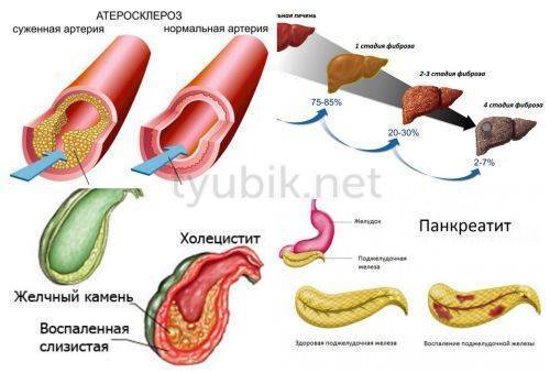 Октолипен для инфузий - официальная инструкция по применению