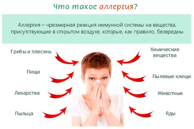 Гипоаллергенная диета для кормящих мам при аллергии: меню, список продуктов, рецепты