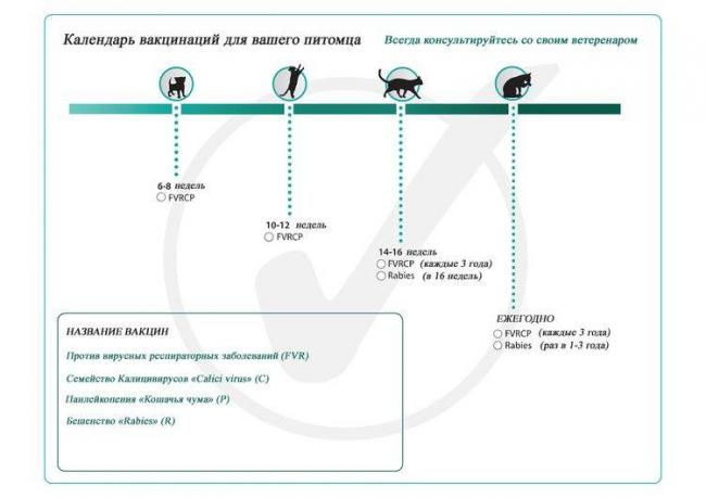 Глобфел-4 для кошек защита питомца от серьёзных инфекций